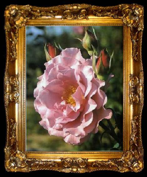 framed  unknow artist Still life floral, all kinds of reality flowers oil painting  360, ta009-2